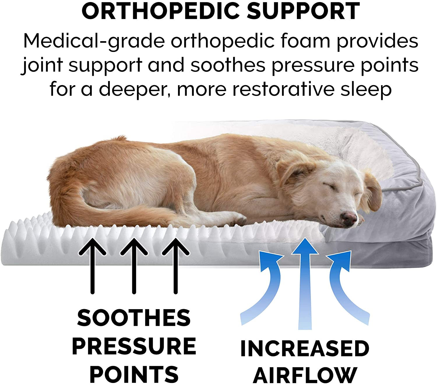 Comfort Dog Bed with Washable & Removable Cover